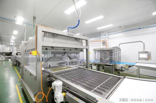 恒源食品全谷萃智慧工廠打造全谷物營養解決方案