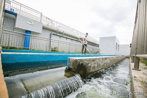 貴州畢節 水處理保障草海水源補給