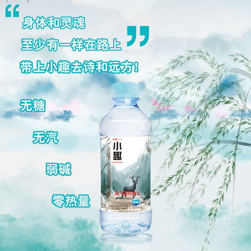 小趣蘇打水 插畫系列原味無糖無汽弱堿性0脂肪飲料整箱380ml 24瓶