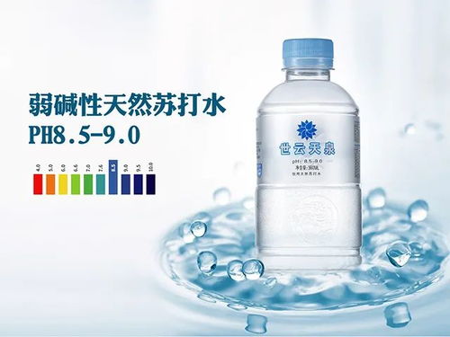弱堿性天然冷礦泉水世云天泉煮粥,是一種怎樣的體驗