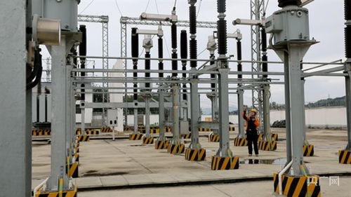 記者實(shí)探 七峰山下的 鏗鏘玫瑰