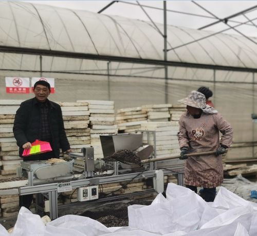 貴州六盤水水城區 烤煙育苗正當時