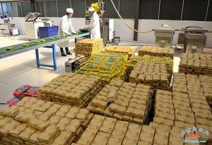 滿城盡是黃金谷 這里擁有張掖最美秋景