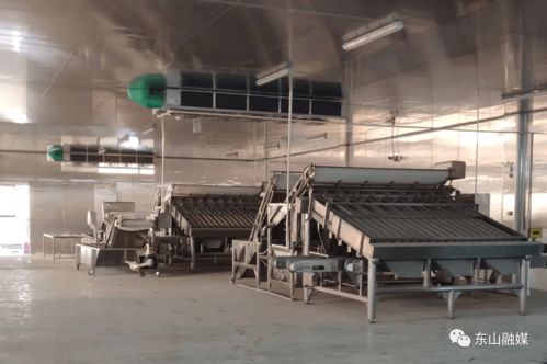 杠杠滴 這些項目全力全速推進