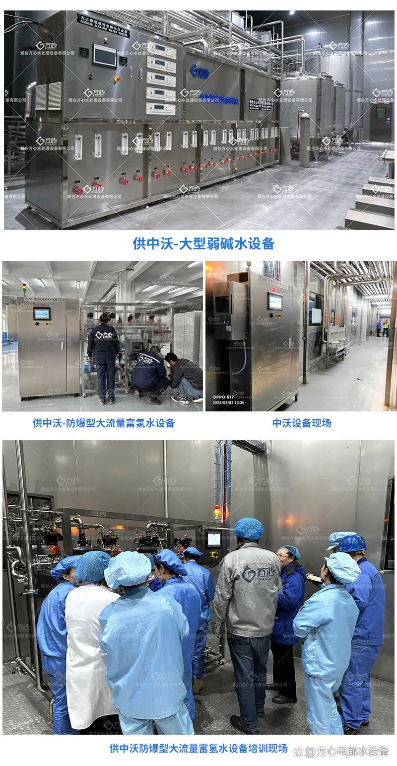 ph9.0電解堿性水設備開啟功能水市場的新藍海