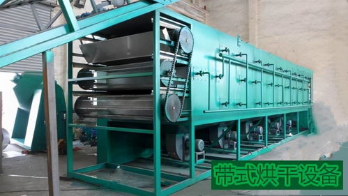 食品烘干設備 面筋烘干機的烘干情況是什么樣的