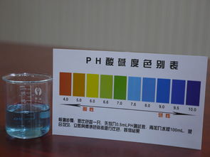 關注健康,從飲水開始