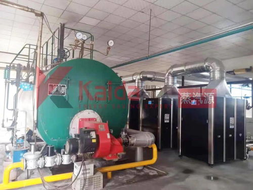 凱大超低氮變頻蒸汽源機組在食品廠的創新應用——以貴州弱堿水設備為例